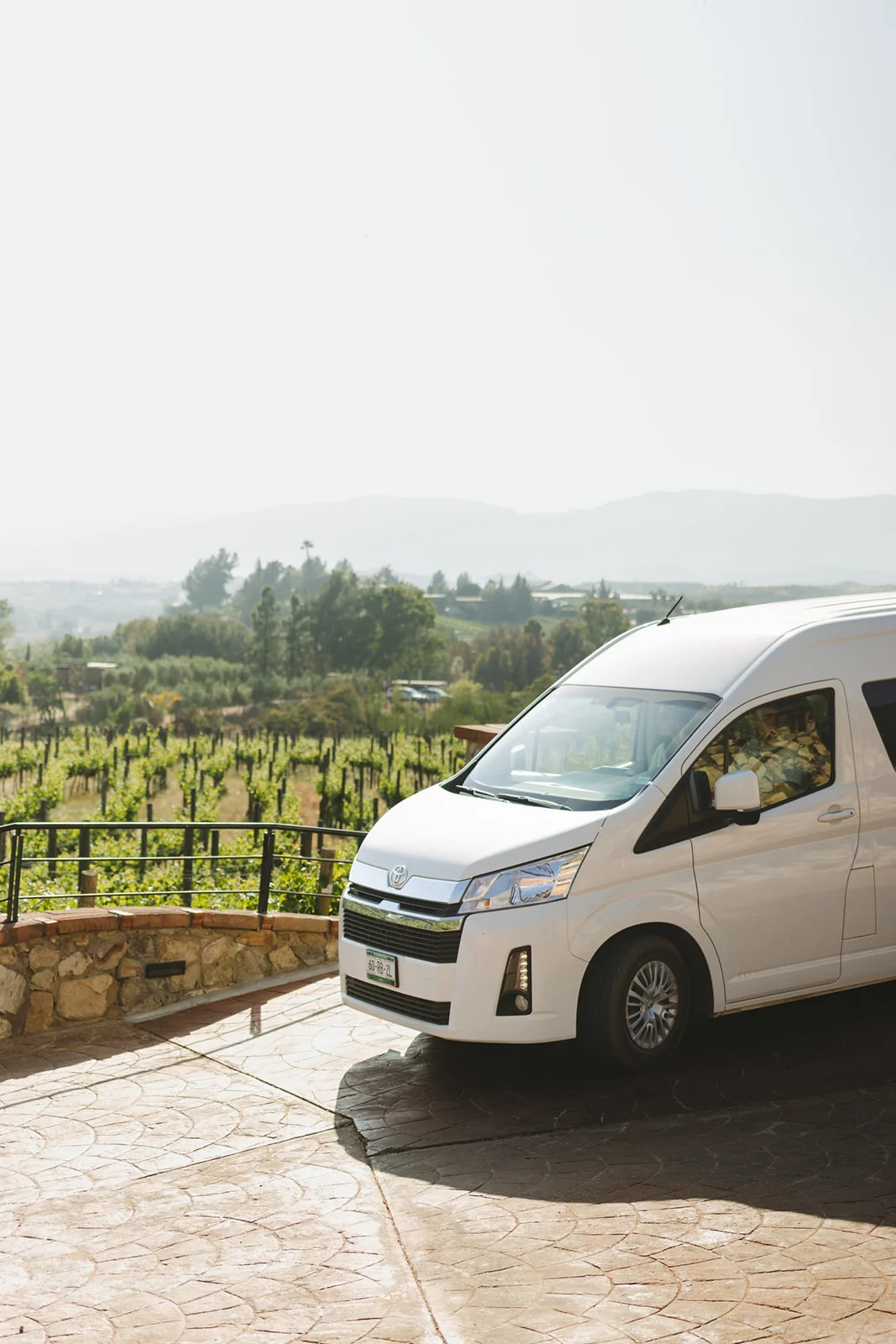 Transport in Valle de Guadalupe: Drive Yourself or Hire a Tour?