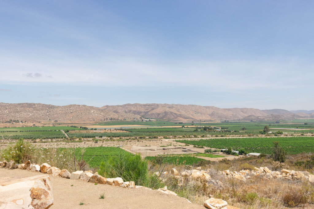 Valle de Guadalupe 